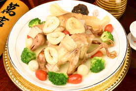鸽鸣鲍泳