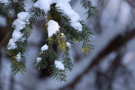 雪图片