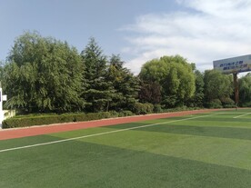 公园图片