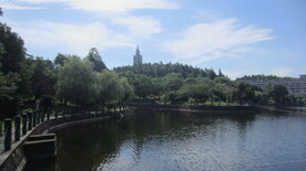 江边风景 景色素材 河边美景 