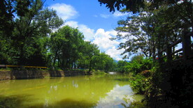 江边风景 景色素材 河边美景 