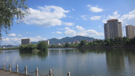江边风景 景色素材 河边美景 