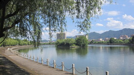 江边风景 景色素材 河边美景 