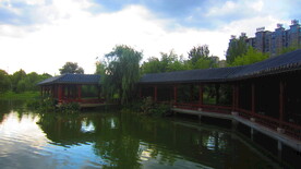 江边风景 景色素材 河边美景 