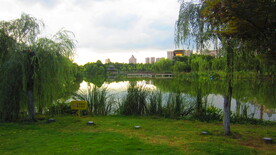 江边风景  景色素材 河边美景
