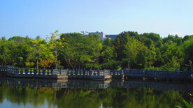江边风景  景色素材 河边美景