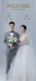 婚礼订婚结婚迎宾易拉宝展架