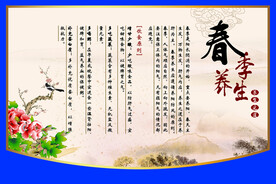 中草药  海报素材  中医文化