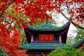 岳麓山秋天