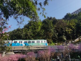 春天的列车
