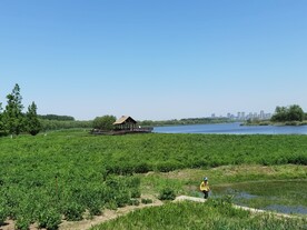 碧草蓝天