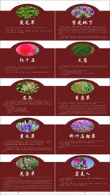 百草园标牌