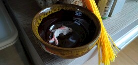 窑变小鱼杯
