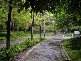 园林小道
