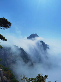 黄山 云雾