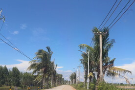 天空树