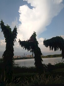 天空 风景 