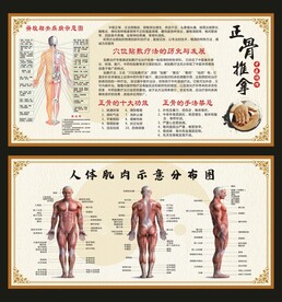 正骨推拿