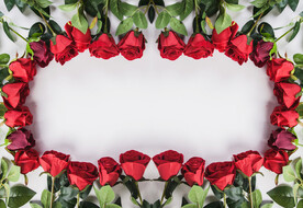 玫瑰花排列组合