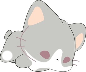 灰猫