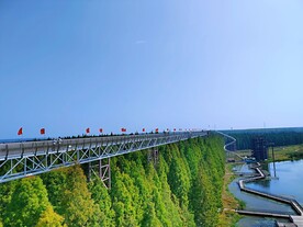 水上森林公园玻璃栈道