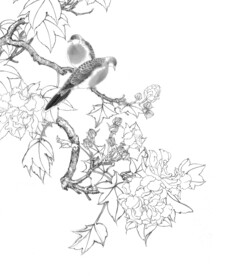 工笔画花鸟底稿