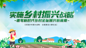 乡村振兴