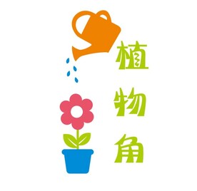 班级文化墙 植物角