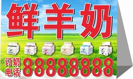鲜羊奶