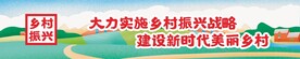 乡村振兴墙绘