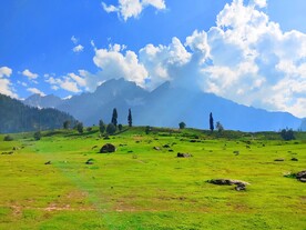 草原风景 