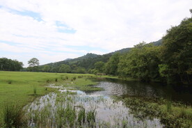 草地湖泊