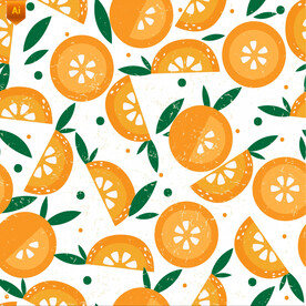 手绘橙子水果插画背景
