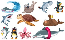 海洋生物合集