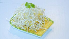 豆芽菜