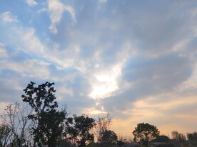 黄昏晚霞树木剪影