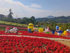美丽的公园风景