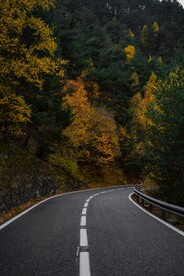 林间公路