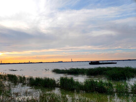 湿地湖面上运输船
