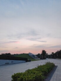 公园房顶绿草地