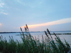湖边晚霞芦苇
