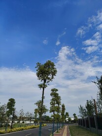天空马路