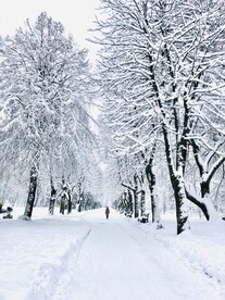 雪中小路