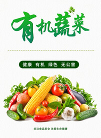 有机蔬菜