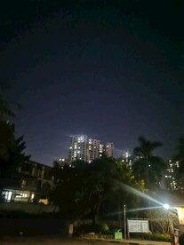 城市的夜