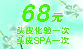 美发 体验卡  头皮卡