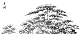 杂树