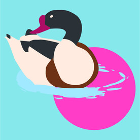 鸭子矢量素材插画