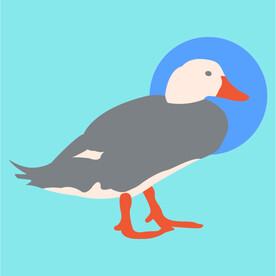 鸭子卡通矢量素材插画