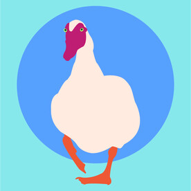 鸭子矢量素材插画